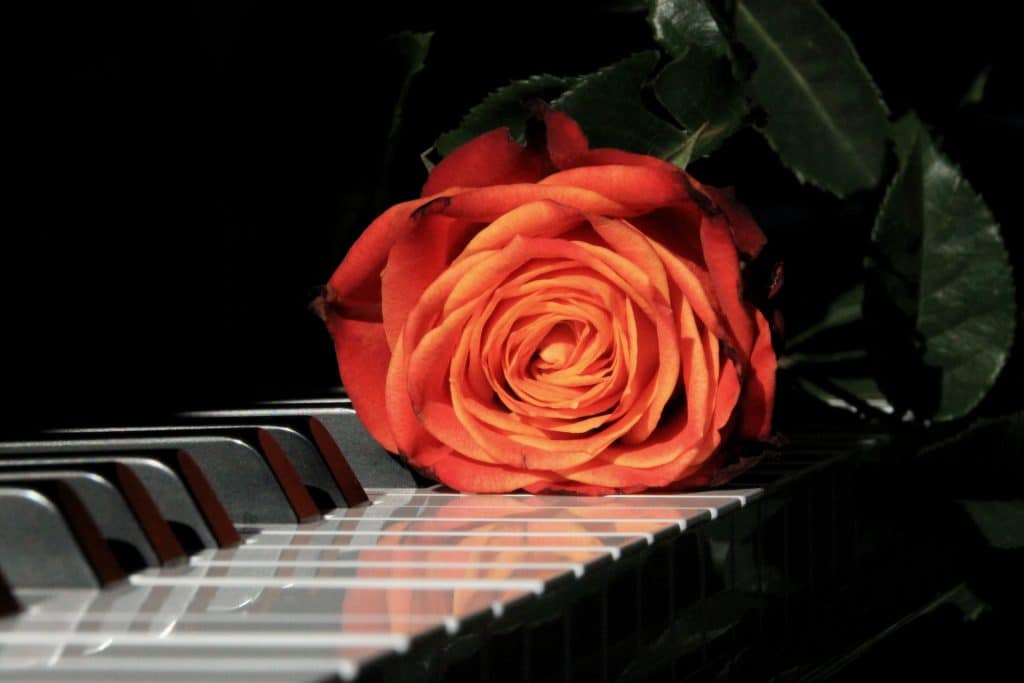 En couple ou célibataire, choisissez ce magnifique concert à la bougie pour votre Saint-Valentin !