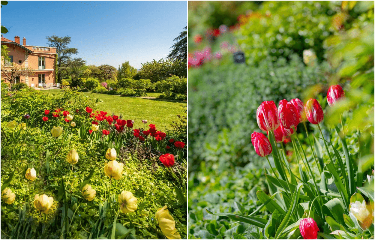 Un incroyable jardin de 9 500 m² avec 800 variétés de fleurs à 10 minutes  de Lyon
