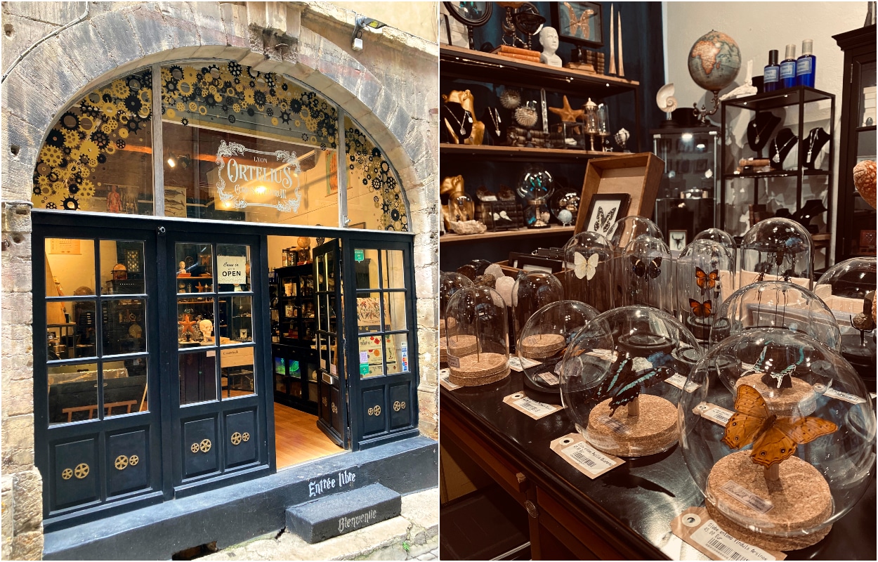 Un incroyable cabinet de curiosités a ouvert dans le Vieux-Lyon ! - Lyon  Secret