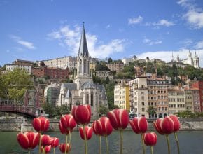 Top 5 des activités immanquables à faire en mai à Lyon !