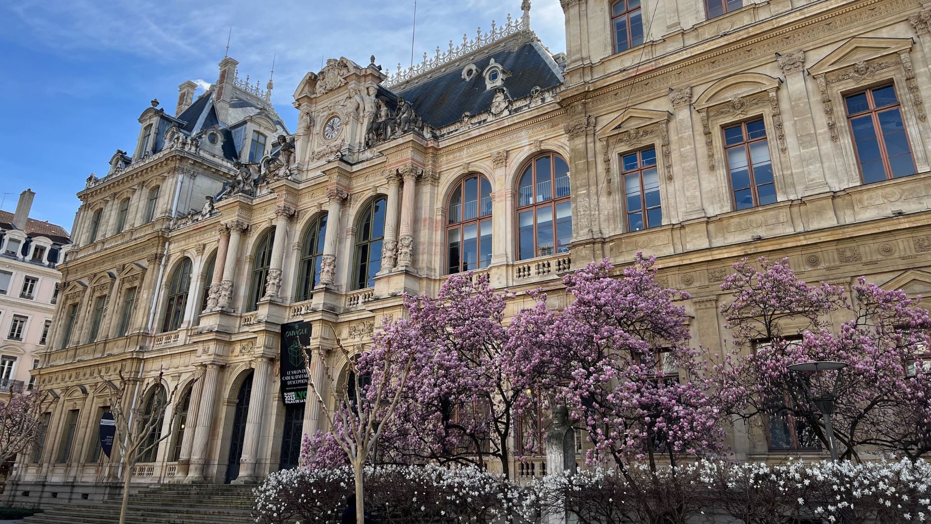 Magnolias devant le Palais de la Bourse, Place de la Bourse à Lyon