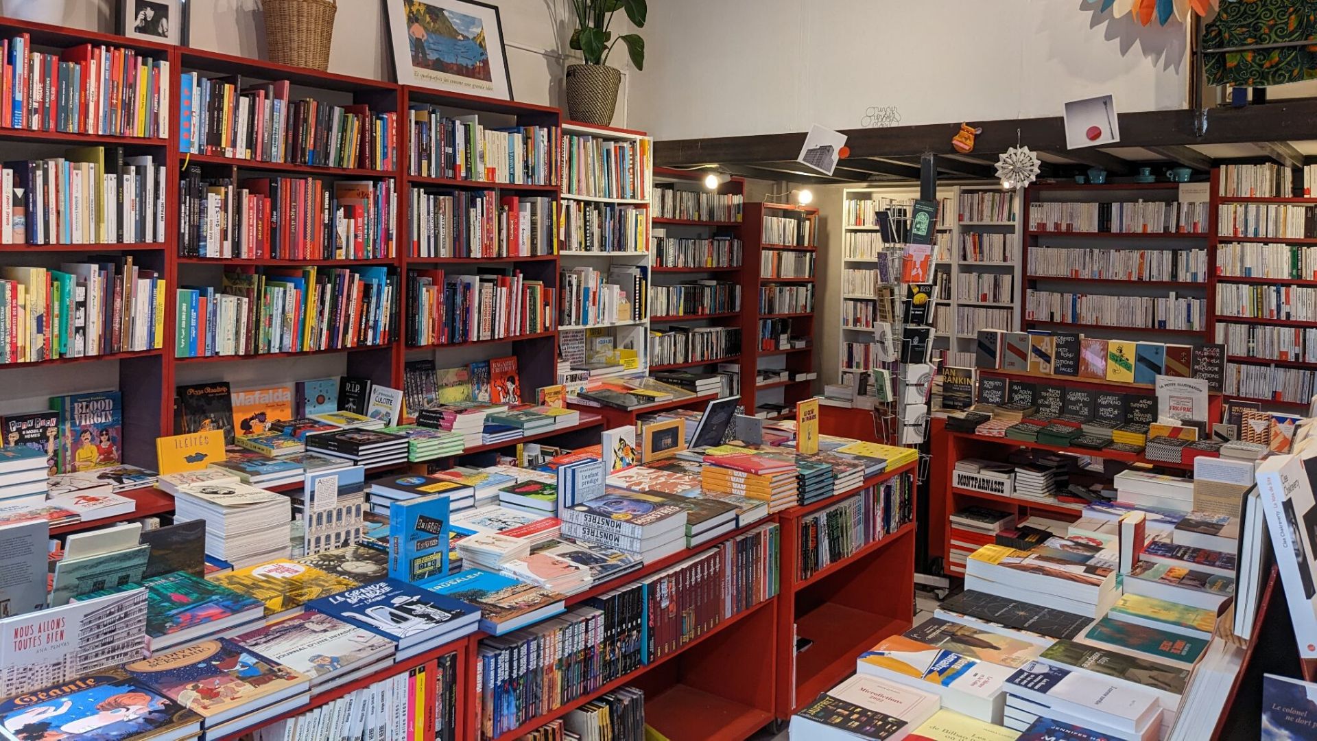 Intérieur de la librairie Ouvrir l'Oeil à Lyon