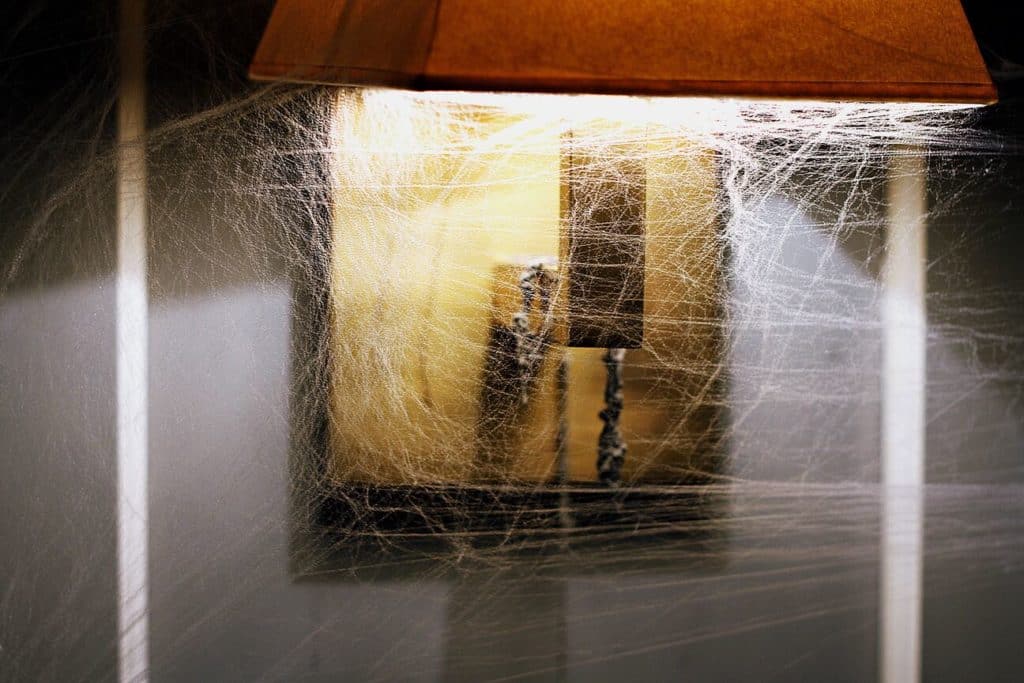 Photo en gros plan d'une lampe de couloir allumée recouverte de toile d'araignée pour illustrer un des lieux hantés de Lyon